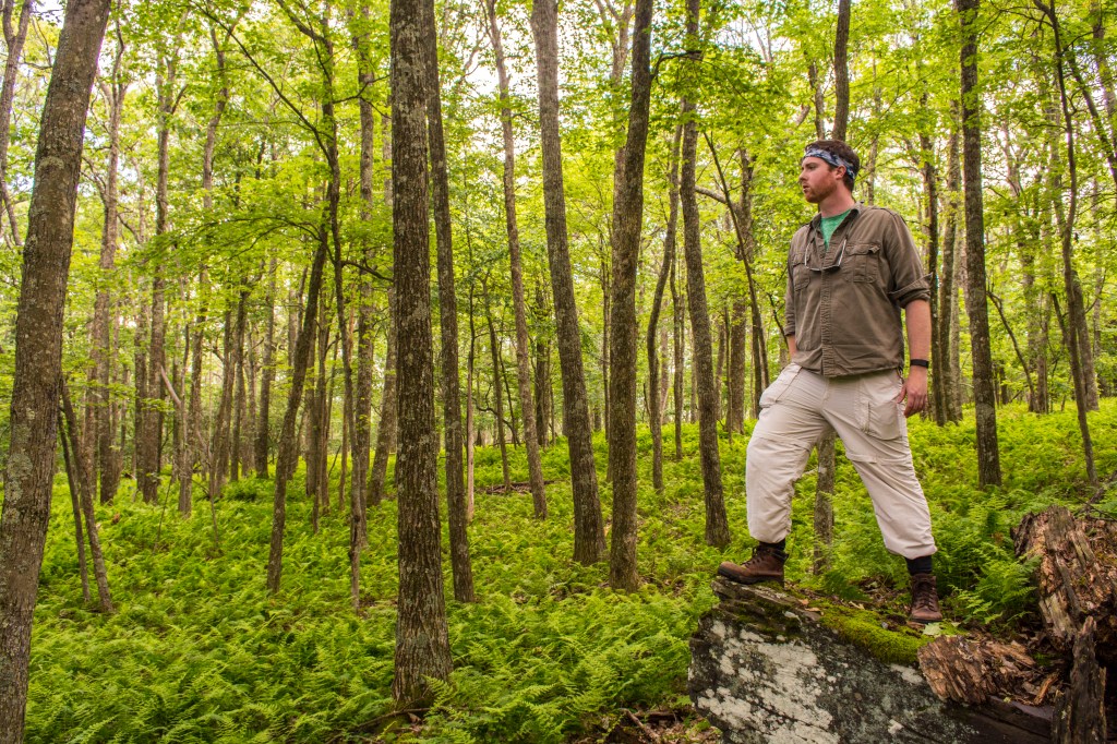 A man wears outdoor clothing and is posed on a rock looking out into a forest background with tree trunks and ferns.