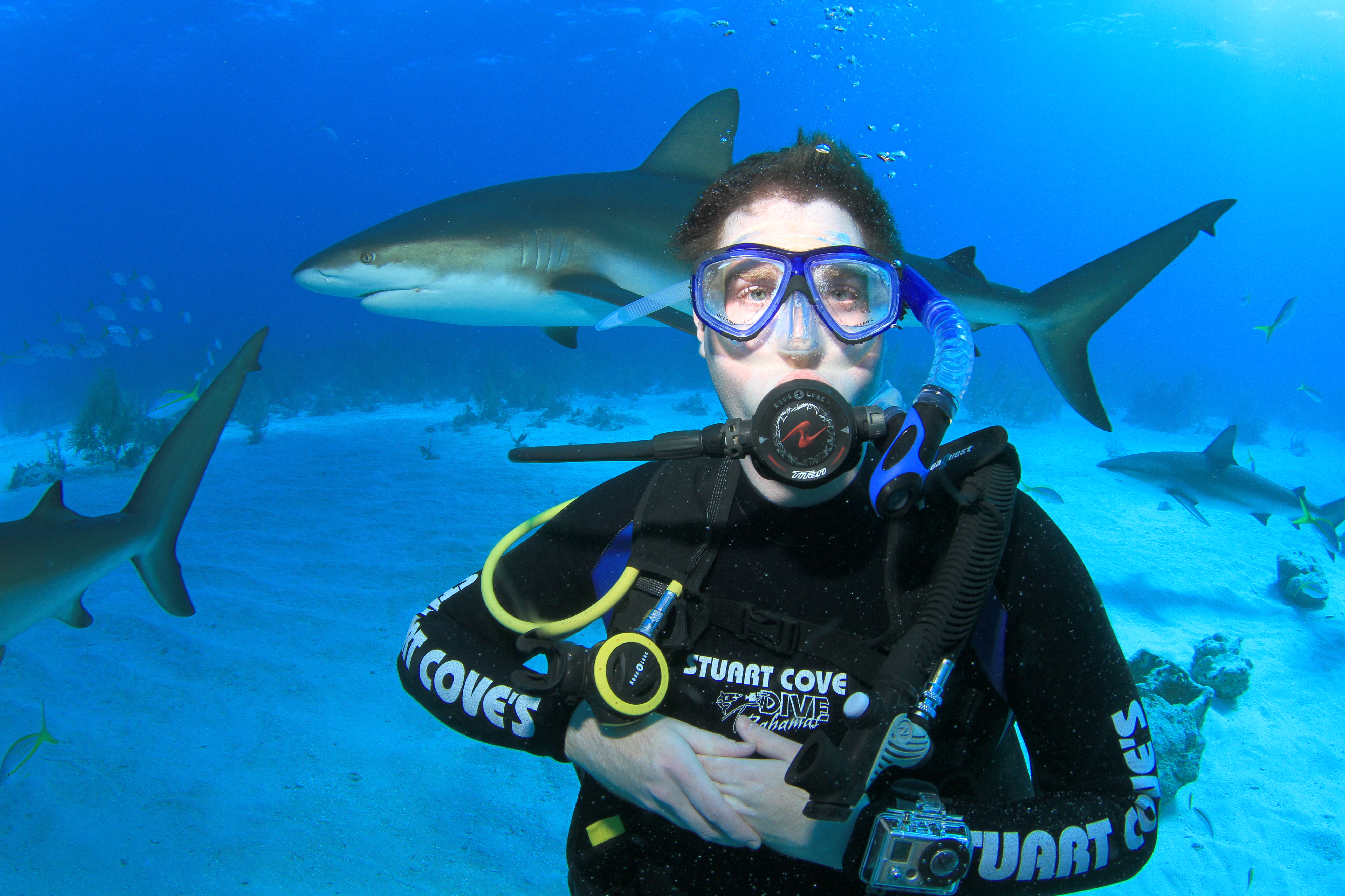 A man in a dive suit and SCUBA equipment underwater with several sharks in the background.